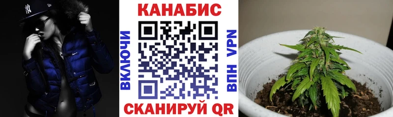 ГАШИШ Елизово