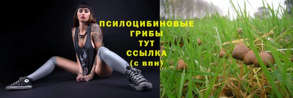 MDMA Premium VHQ Нязепетровск