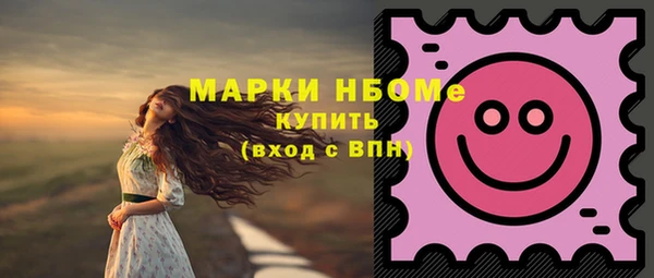 первитин Няндома
