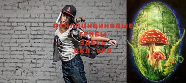 MDMA Premium VHQ Нязепетровск
