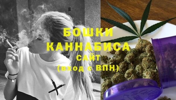 ГАЛЛЮЦИНОГЕННЫЕ ГРИБЫ Майский
