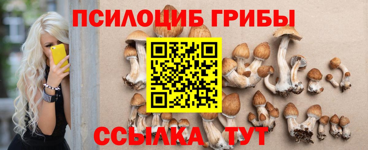 Галлюциногенные грибы Psilocybine cubensis  где купить наркотик  Елизово  Вход с VPN  Псилоцибиновые грибы Magic Shrooms 