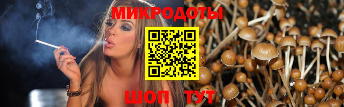 Псилоцибиновые грибы прущие грибы Елизово